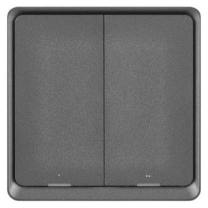 GoSmart Přenosný ovladač scén IP-2002ZB, ZigBee 3.0, 2-tlačítkový