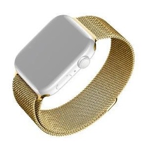 Mesh Strap AW 38-41mm, zlatý FIXED