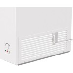 FH30DCW MRAZNIČKA TRUHLICOVÁ GORENJE