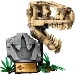 Dinosauří fosilie: Lebka T-rexe 76964
