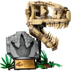 Dinosauří fosilie: Lebka T-rexe 76964
