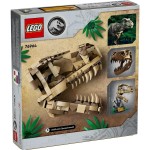 Dinosauří fosilie: Lebka T-rexe 76964