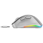 Ergo 9000S Pro Wrl mouse Silver GENIUS