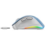 Ergo 9000S Pro Wrl mouse blue/wh GENIUS