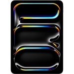 iPad Pro 11 WiFi 256GB StGl Black APPLE