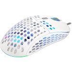 LIX Plus mouse white ENDORFY
