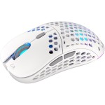 LIX Wireless mouse white ENDORFY