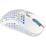 LIX Wireless mouse white ENDORFY