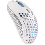 LIX Wireless mouse white ENDORFY