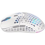 LIX Wireless mouse white ENDORFY