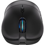 GEM Plus Wireless mouse black ENDORFY