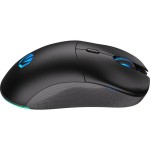 GEM Plus Wireless mouse black ENDORFY
