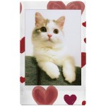 INSTAX MINI HEART SKETCH WW 1 FUJIFILM
