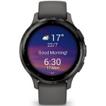 VENU 3S Pebble Gray/Slate GARMIN