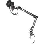 Solum Microphone Solum USB-C ENDORFY