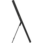 MB16ACV 15,6 ZenScreen FHD USB-C ASUS