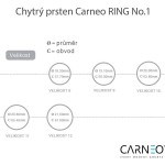 Smart ring NO 1 size 10 CARNEO