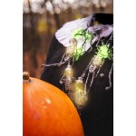 RHW 006 Girlanda pavouci 10LED WW RETLUX