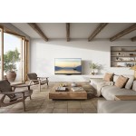 TV 55Z90AEG OLED TV PANASONIC