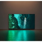 65PUS7409 Google Direct LED TV PHILIPS