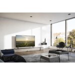 TV 65W95AEG LED TV PANASONIC
