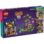 Dům včelařů a květinová zahr. 42669 LEGO