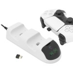 TAKEDOWN charg. station PS5 gamepad WS