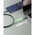 Powerlink Rugg CTC 5A/100W 1,8m green