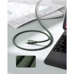 Powerlink Rugg CTC 3A/60W 1,0m green