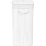 RAN9108 koš na prádlo s víkem COMPACTOR