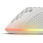 KRYPTON 555 bílá GENESIS