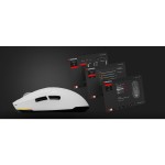 ZIRCON 660 bílá GENESIS