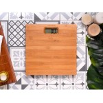 489 OSOBNÍ VÁHA JATA