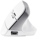 Bayo+ Ergo vertical wrl mouse WH TRUST