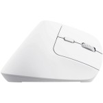 Bayo+ Ergo vertical wrl mouse WH TRUST