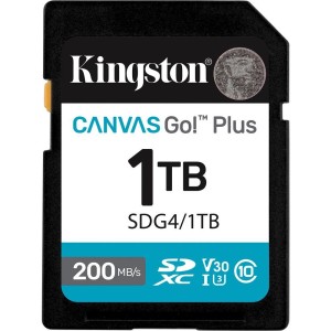 SDXC SDG4 1TB KINGSTON
