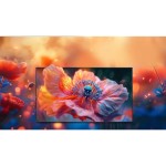 43E7Q QLED TV HISENSE