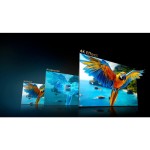 55U8Q Mini LED QLED TV HISENSE