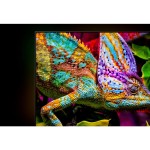 55U8Q Mini LED QLED TV HISENSE