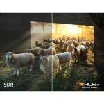 QE75QN990F Neo QLED TV SAMSUNG