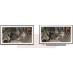 QE85LS03FW The Frame PRO QLED TV SAMSUNG