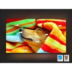 QE75Q7F QLED TV SAMSUNG