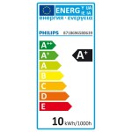 LED Globe 60W G93 E27 WW FR ND PHILIPS