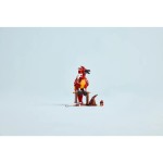 76448 Fawkes: Brumbálův fénix LEGO