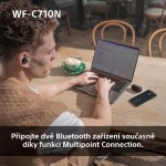 WF C710N černá SONY