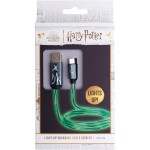 Harry Potter USB-C charg. ca. LAZERBUILT