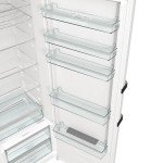 R619DAW6 CHLADNIČKA GORENJE