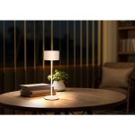 RTL 210 Malá stolní lampa LED WW RETLUX