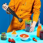 TWISTER T1 TYČOVÝ MIXÉR NICEBOY