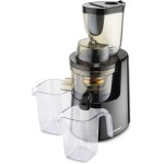 JS 8013 Slow juicer Catler